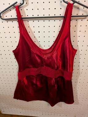 Enchanting Red Satin Camisole Top with Sheer Neckline and Embroidered Waist